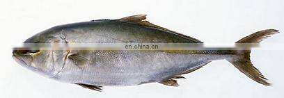 electric rotary grill machine/fish roast oven