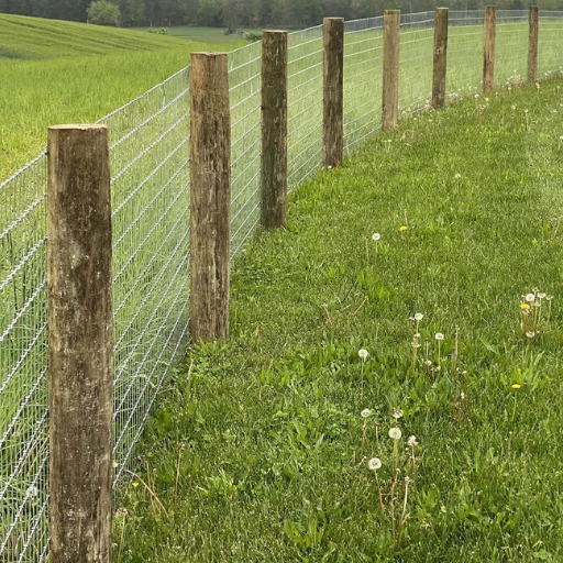 Agricultural fencing (4).png