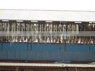 Qinyang Xingyue Industry Co., Ltd. company overview - view 3