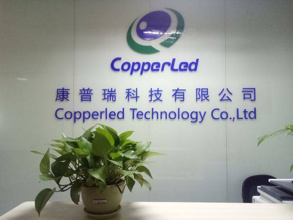 Shenzhen Copperled Technology Co., Ltd company overview - view 1