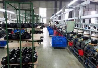 Shanghai Zhensheng Sports Goods Co., Ltd. company overview - view 1