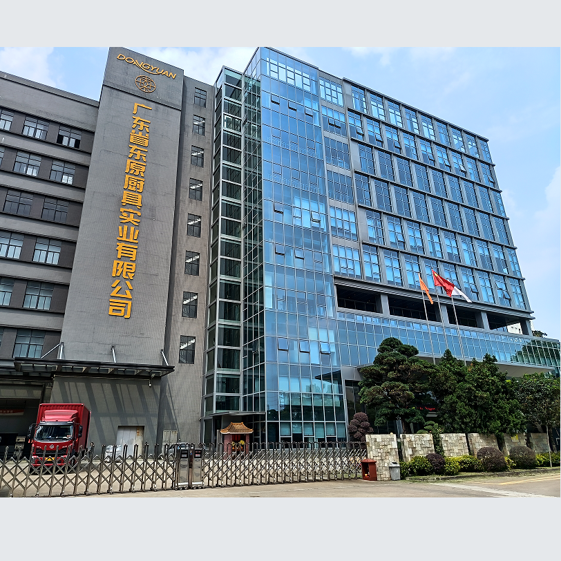 Guangdong Dongyuan Kitchenware Industrial Co.,Ltd company overview - view 1