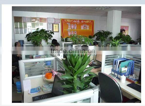 Shenzhen Youlebi Technologies Co., Ltd. company overview - view 2