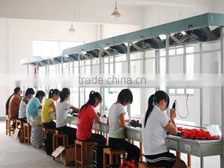 TS Industry Co., Ltd. company overview - view 3