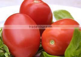 Moon Star Seeds Stores company overview - view 2