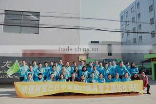 Shanghai Shenhe Packing Technology Co., Ltd. company overview - view 3