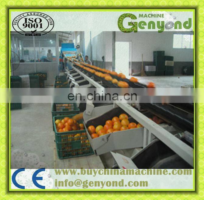 citrus waxing machine fruit washing and waxing machine fruit waxing machine