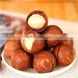 full automatic argania spinosa/argan oil/fat/grease extractor/extracting machines