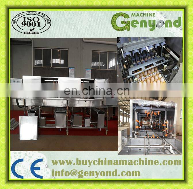 automatic egg washer/chicken egg washing machine
