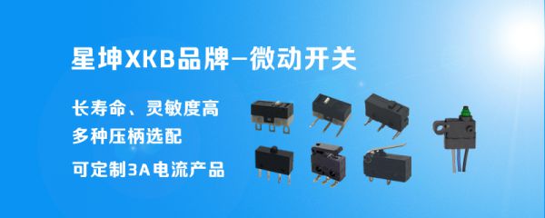The micro switch industry