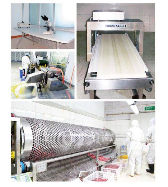 Qingdao Huahong Food Co., Ltd company overview - view 2