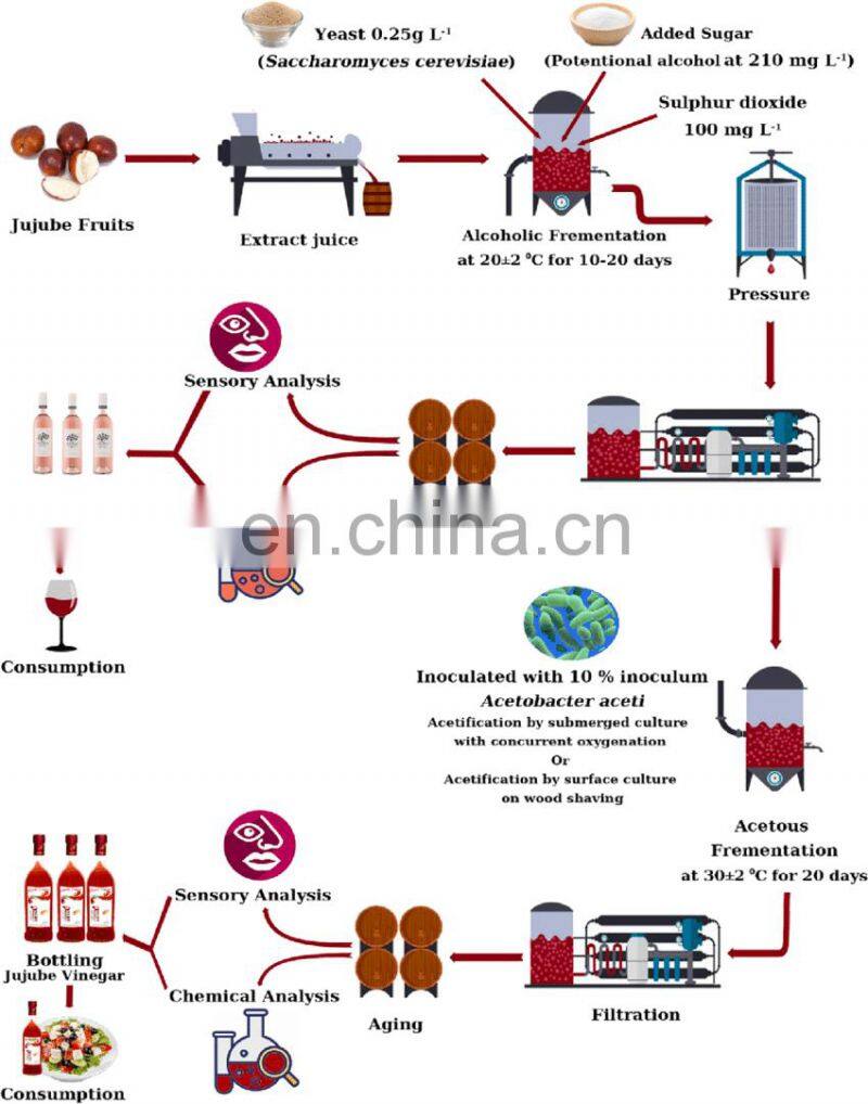 Factory Shanghai Genyond Fruit wine fermentation equipment making machine fruit vinegar production plant process line