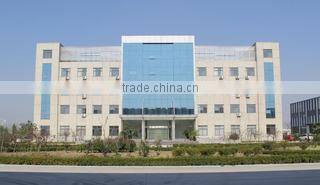 Shandong Geruitai New Material Co., Ltd. company overview - view 2