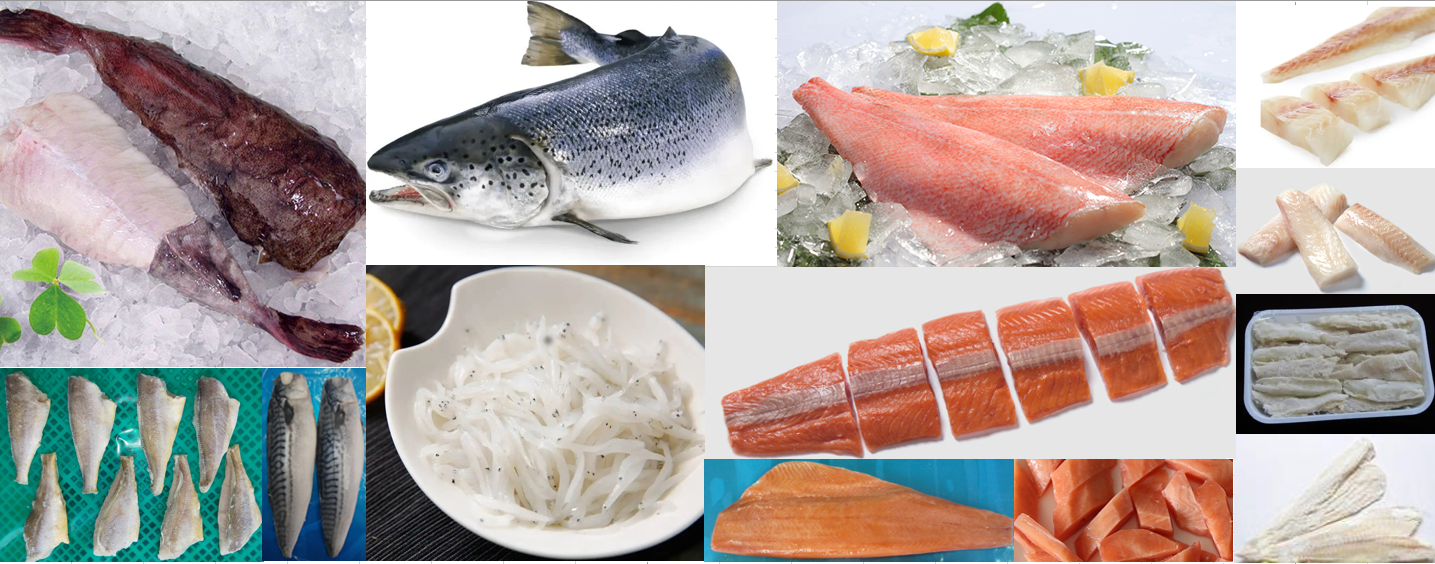 Hand Foods (Dalian) Co., Ltd. company overview - view 4