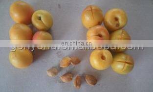 high capacity 500-800kg olive date pitting machine