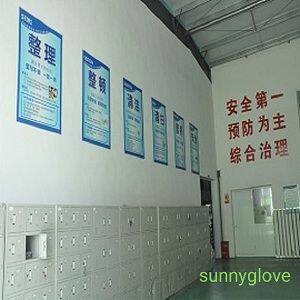 Rudong Sunny Gloves company overview - view 2