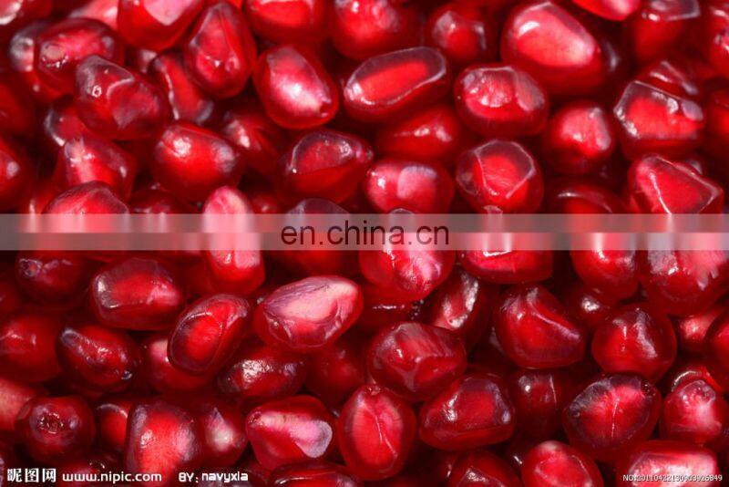 Pomegranate crushing & seeds collection seeds arils separator deseeder peeling machine/pomegranate processing machine