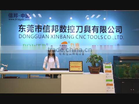 Dongguan Xinbang CNC Tool Co., Ltd. company overview - view 1