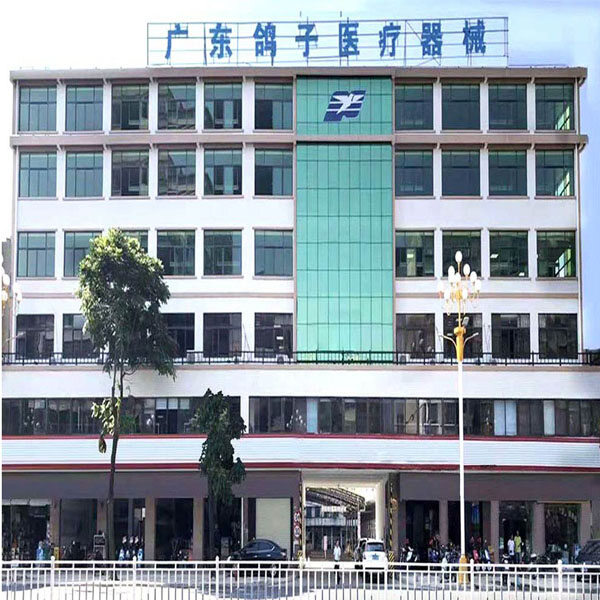 Guangdong Pigeon Medical Apparatus Co.,Ltd company overview - view 1