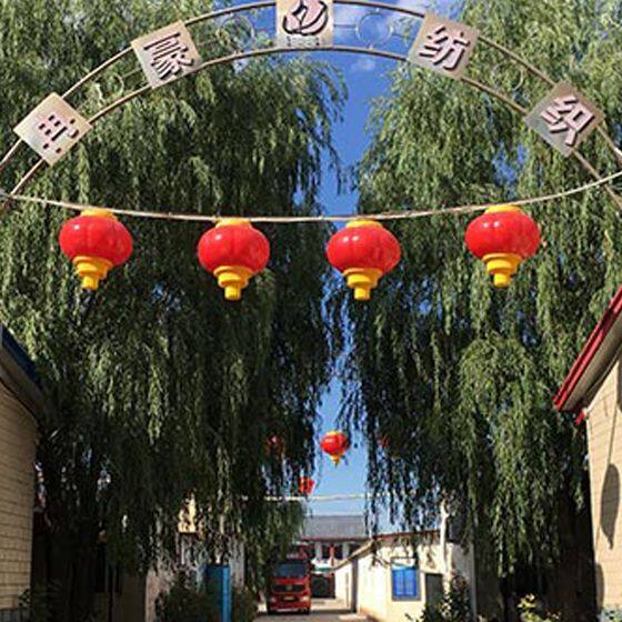 Shijiazhuang Yizhaoda Textile Co., Ltd. company overview - view 1