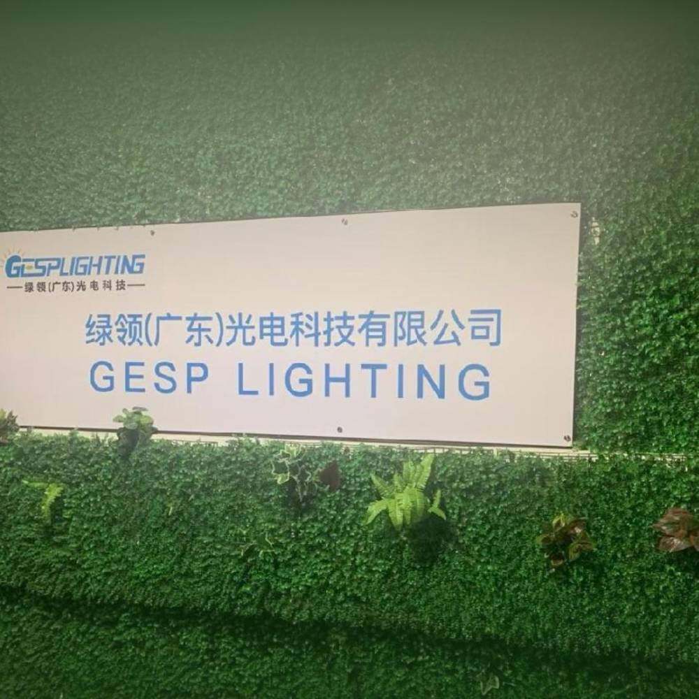 Green Collar (Guangdong) Optoelectronic Technology Co., Ltd. company overview - view 1