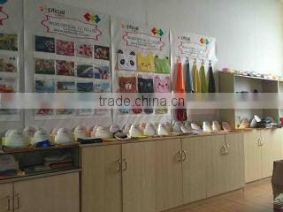 Jiangyin Chengli Optical Co., Ltd. company overview - view 1