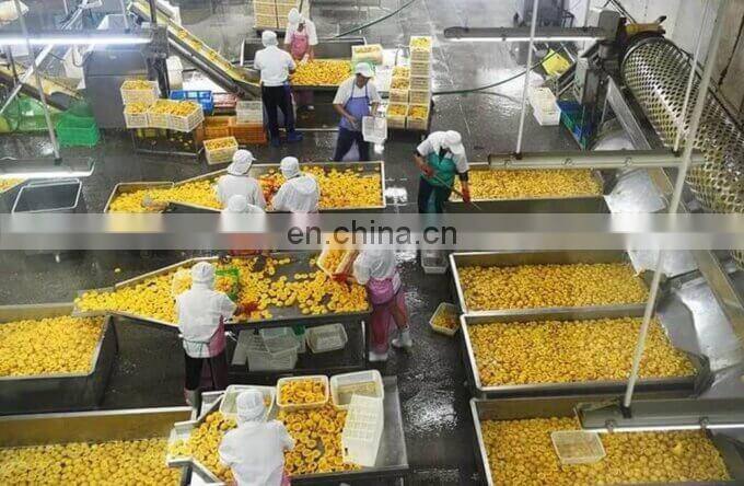 Factory Genyond fruit pineapple tomato peach canning sealing machine canned fruits processing plant production line price