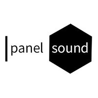 Anhui Panel Sound Electronics Co., Ltd.