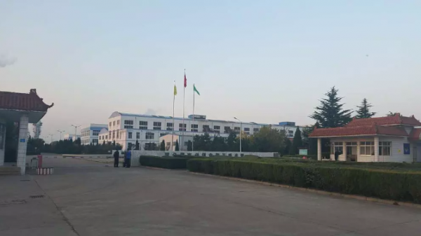 Qingdao Rollmax Industry Co.,Ltd company overview - view 1