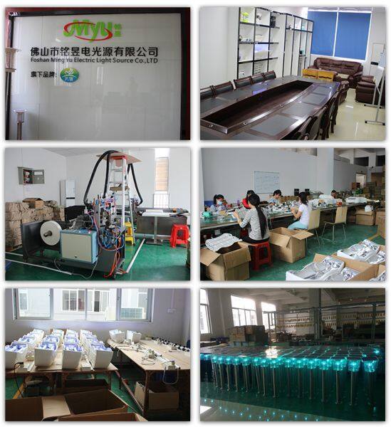 Foshan Ming Yu Electric Light Source Co., Ltd. company overview - view 1