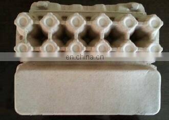 rotary egg tray machine in shanghai factory