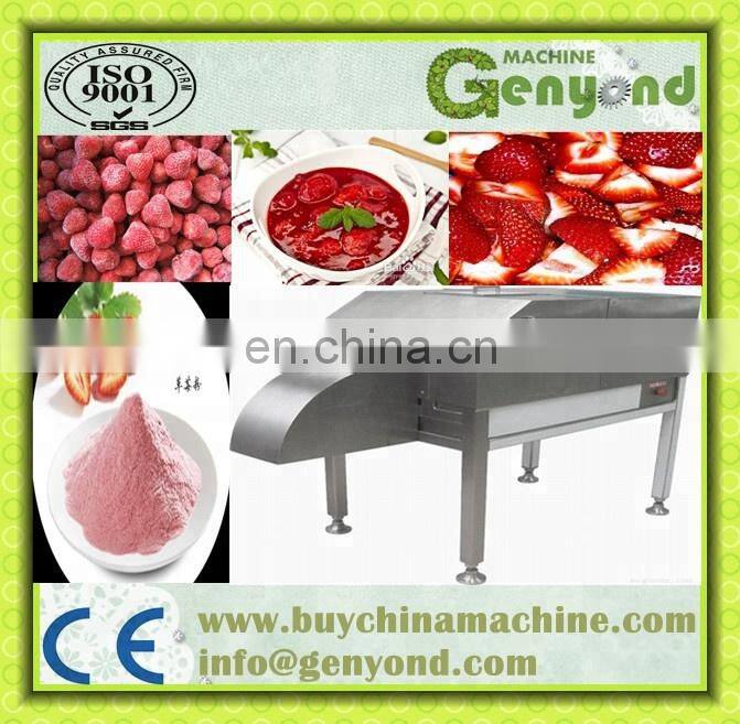 automatic frozen fruit & vegetable processing line