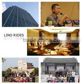 Henan Lino Import/Export Trading Co., Ltd. company overview - view 2