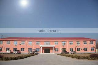 Shandong Double Crane Machinery Manufacture Co., Ltd. company overview - view 2