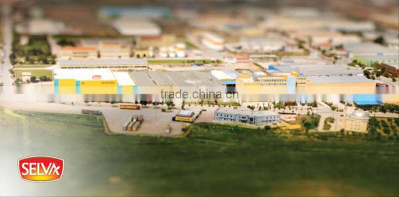 Selva Gida Sanayi Anonim Sirketi company overview - view 1
