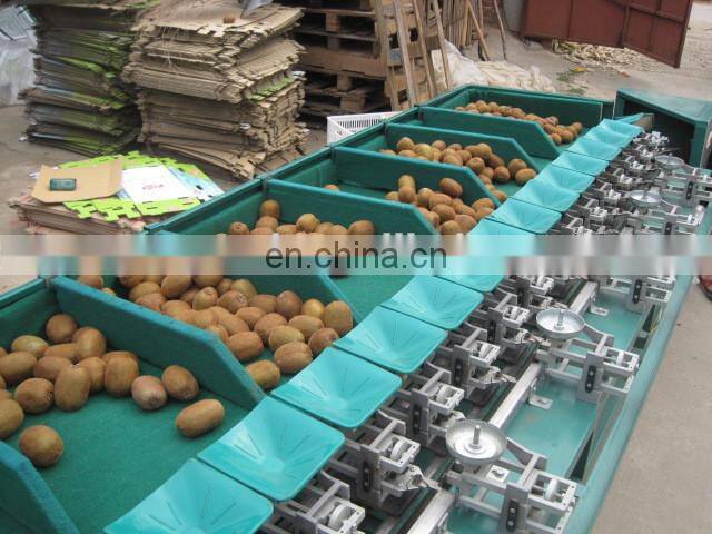 potato sorting machine / fruit sorting machine / vegetable grading machine