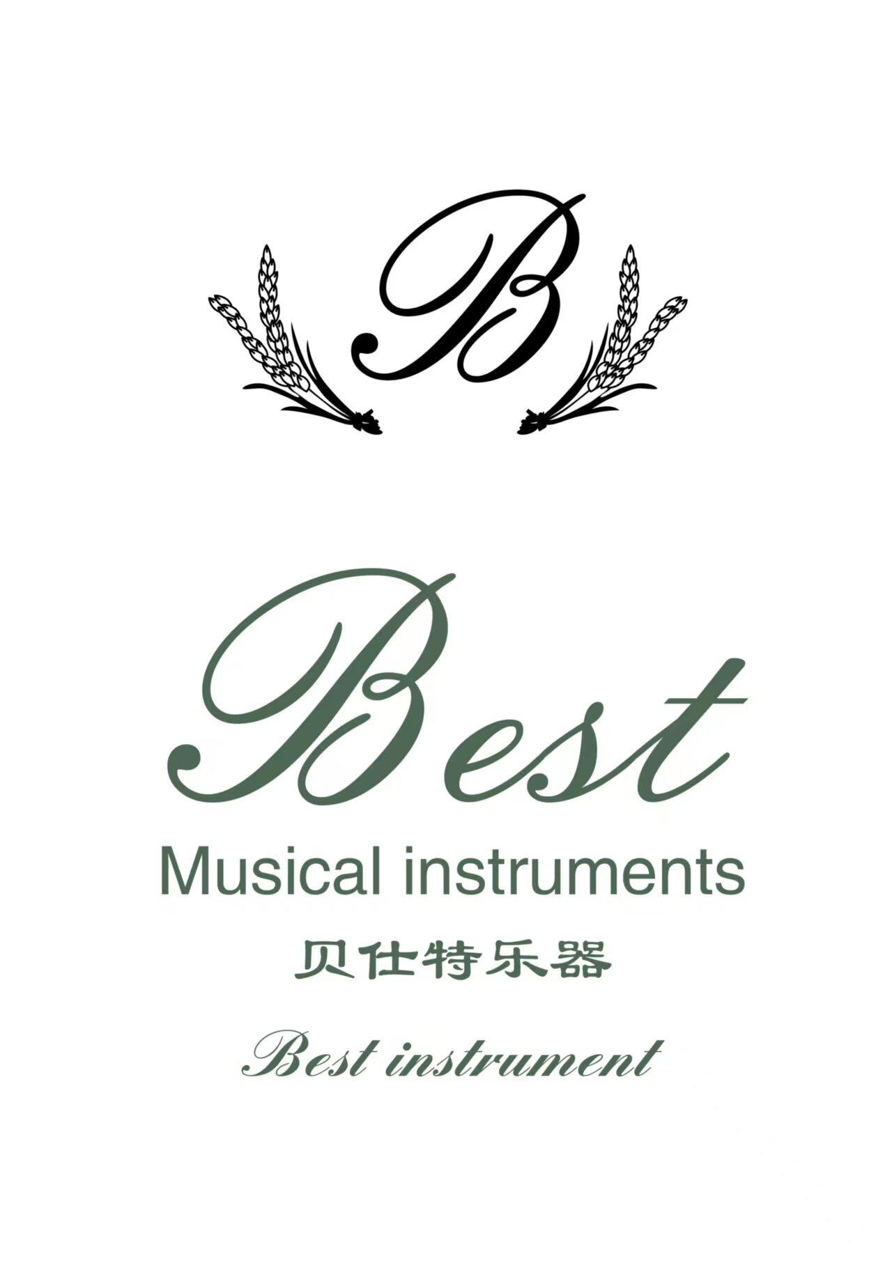 Jiangsu Best Musical Instrument Manufacturing Co., Ltd