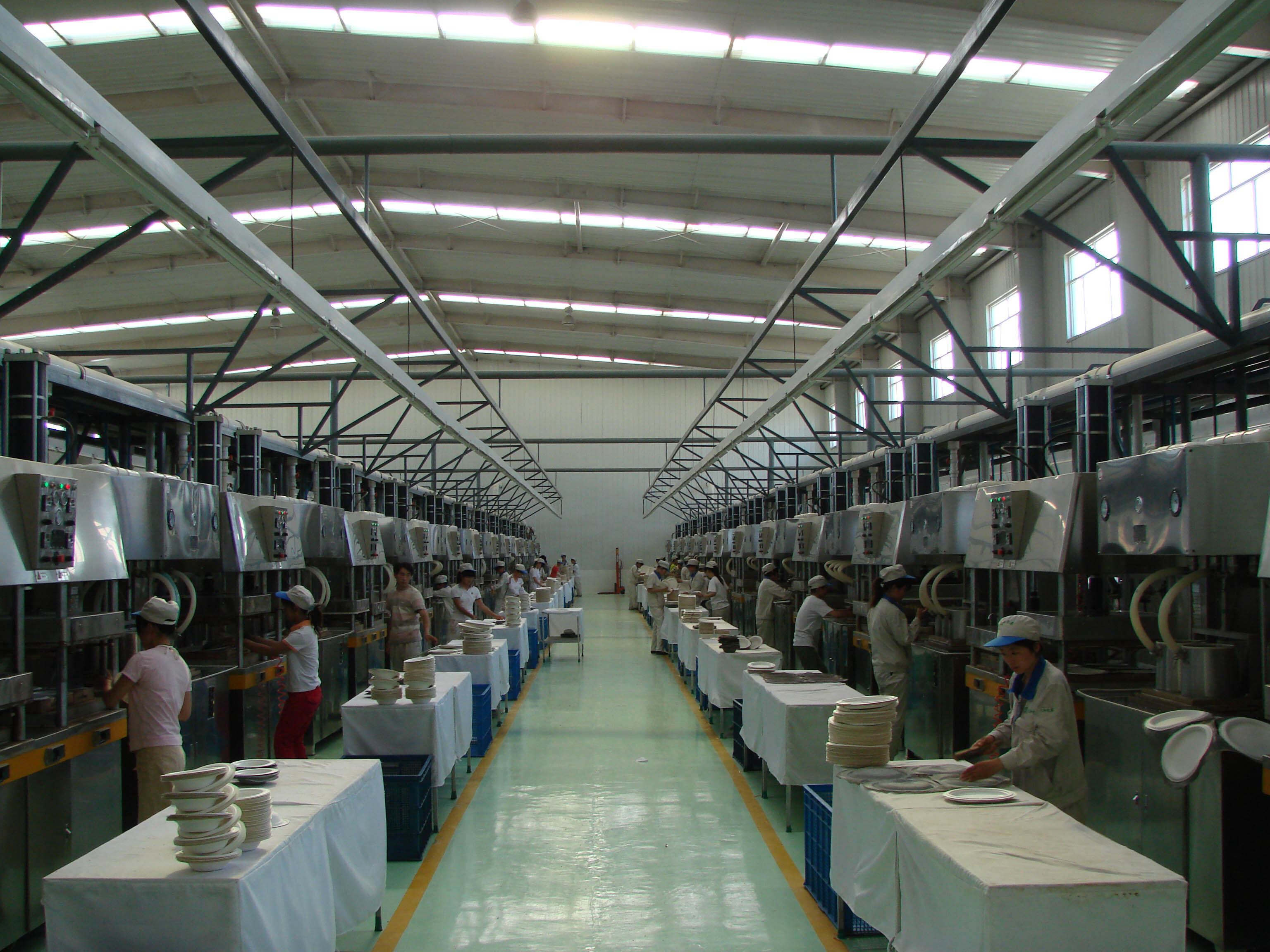 Shandong Tranlin Straw New Environmental Technology Joint Stock Company Limited company overview - view 2