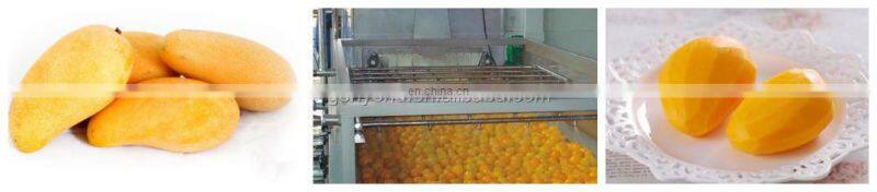 fresh mango cutting machine / mango slicing machine