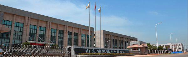 Shandong CHIK Bearing Co.,Ltd company overview - view 1