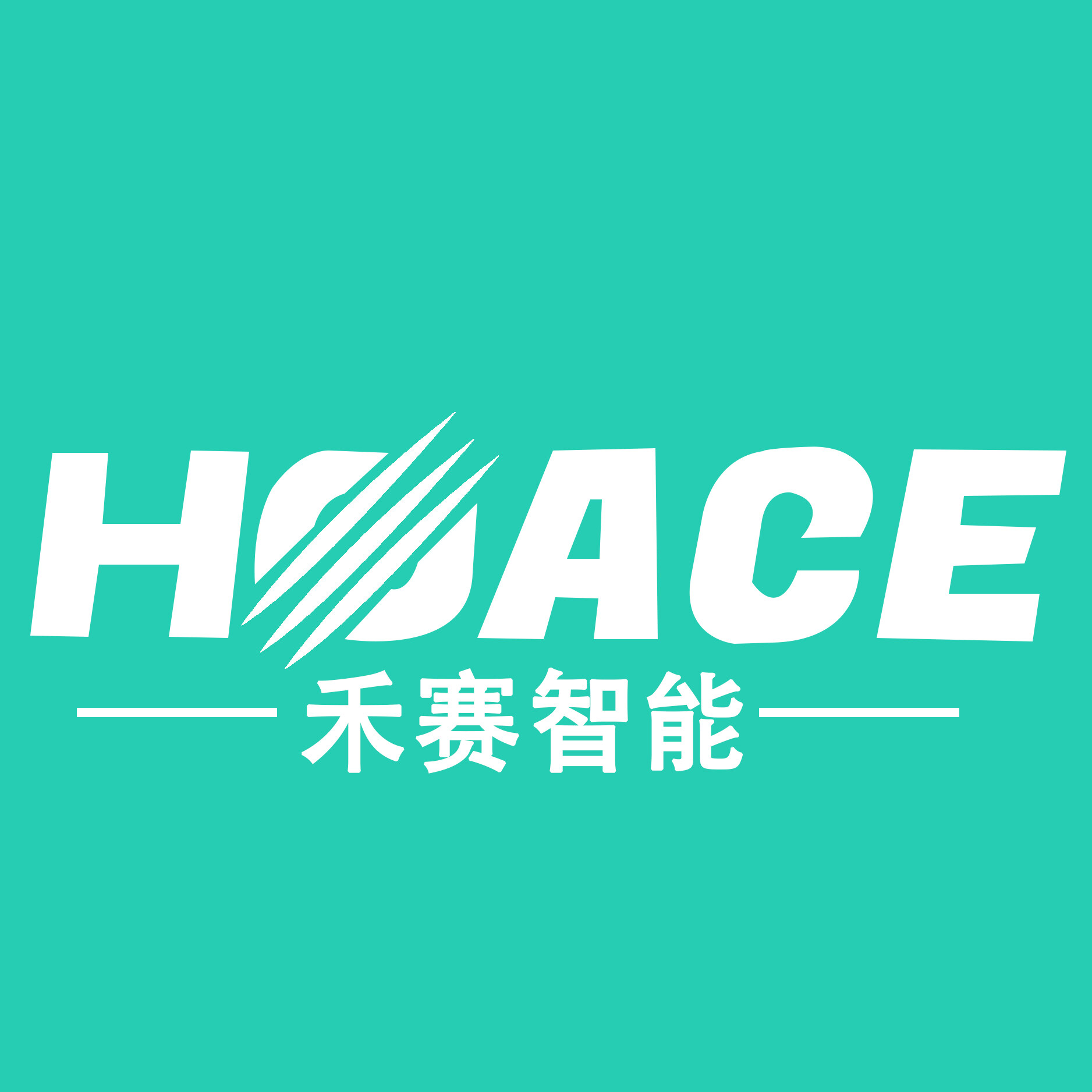 Shandong Hoace Intelligent Equipment Co.,Ltd.