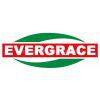 Changzhou Evergrace Hardware Co.Ltd