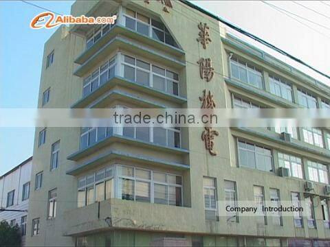 Wenzhou Huayang Crane Motor Co., Ltd. company overview - view 1