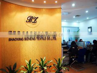 Shaoxing County Bizheng Textile Co., Ltd. company overview - view 1