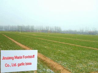 Qingdao Factum Enterprise Ltd. company overview - view 1