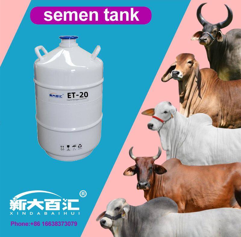 Optimizing Livestock Breeding: How to Choose the Right Liquid Nitrogen Container for Semen Storage