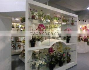 Shenzhen HYS Trading Co., Ltd. company overview - view 3