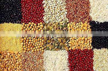 Rice /wheat /beans washer machine for washing variety of grain/automatic rice washer/ wheat seed cleaning machine