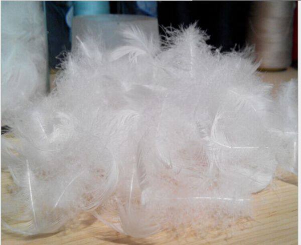 Anhui Wonder Down&feahter Product Co.,ltd. company overview - view 4