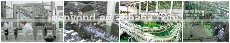 small scale pasteurized dairy production line/processing plant